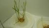 DSC01092.JPG