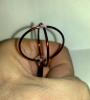 post-28407-1329218204_thumb.jpg
