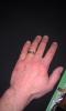 post-54067-1333864443_thumb.jpg